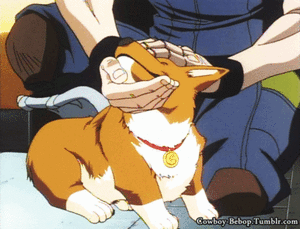 Honden GIF. Dieren Baby Gifs Hond Wandelaar 
