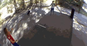 Honden GIF. Dieren Gifs Hond Spiegel Schroef 