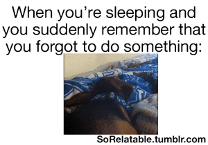 Honden GIF. Dieren Gifs Hond 