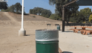 Honden GIF. Dieren Gifs Hond Kind Tand Trekt 
