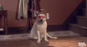 Honden GIF. Dieren Jongen Gifs Hond 