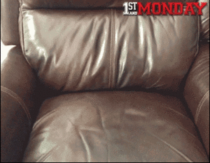 Honden GIF. Dieren Zwemmen Gifs Hond Teckel 