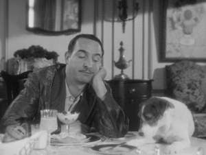Honden GIF. Dieren Gifs Hond Het+eten 