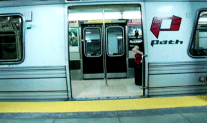 Olifant GIF. Dieren Olifant Gifs 
