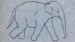 Baby GIF. Dieren Spelen Olifant Baby Gifs 