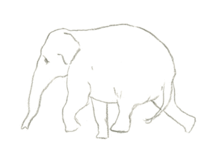 Olifant GIF. Dieren Olifant Gifs 