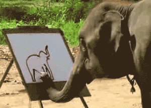 Olifant GIF. Dieren Olifant Gifs Schilderij 