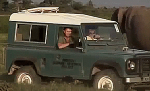 Olifant GIF. Dieren Olifant Gifs 