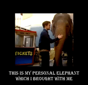 Olifant GIF. Dieren Olifant Gifs 