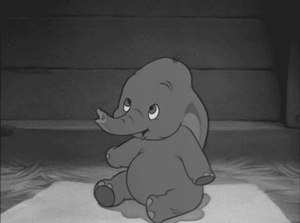 Baby GIF. Dieren Olifant Baby Hallo Gifs 