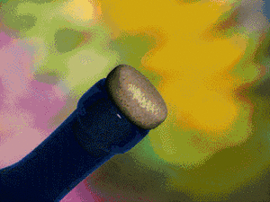 Olifant GIF. Dieren Olifant Gifs Fj 