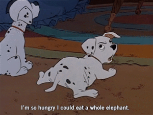 Olifant GIF. Dieren Olifant Gifs 