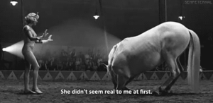Baby GIF. Dieren Olifant Baby Gifs Weeeee 