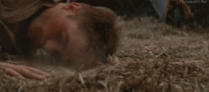 Olifant GIF. Dieren Olifant Doei Gifs Vaarwel 