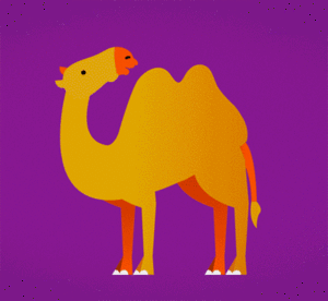 Baby GIF. Dieren Olifant Baby Hallo Gifs 