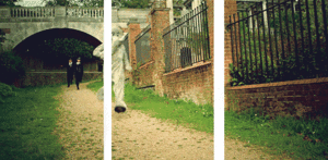 Olifant GIF. Dieren Olifant Gifs 