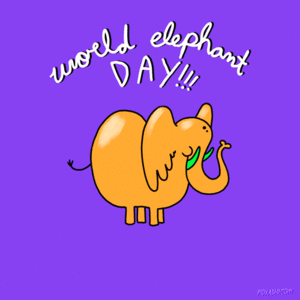 Olifant GIF. Dieren Olifant Gifs 