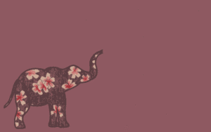 Olifant GIF. Dieren Olifant Gifs Lint 