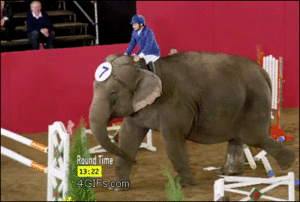 Olifant GIF. Dieren Olifant Roze Gifs Mrw 