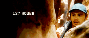 Olifant GIF. Dieren Olifant Gifs Lint 