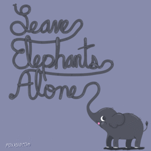 Olifant GIF. Dieren Olifant Darts Gifs Til 