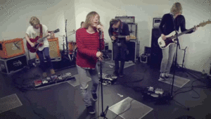 Olifant GIF. Dieren Geboorte Olifant Gifs 