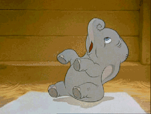 Olifant GIF. Dieren Olifant Gifs Schattigheid 