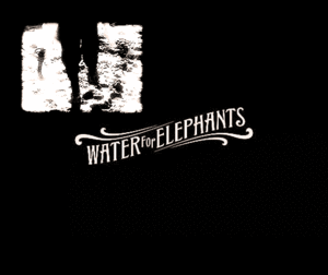Olifant GIF. Dieren Olifant Gifs Dier 
