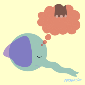 Olifant GIF. Dieren Olifant Gifs 