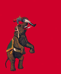 Olifant GIF. Bad Dieren Olifant Baby Gifs 