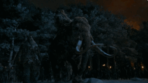 Olifant GIF. Dieren Olifant Dronken Gifs 
