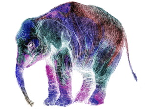 Olifant GIF. Dieren Olifant Gifs 