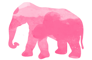 Olifant GIF. Dieren Olifant Regenboog Gifs 