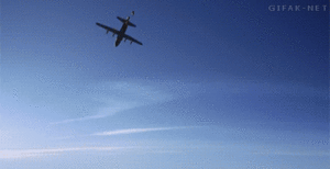Olifant GIF. Dieren Olifant Gifs 