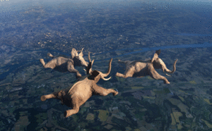 Olifant GIF. Dieren Geboorte Olifant Gifs 