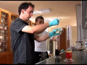 Baby GIF. Dieren Olifant Baby Gifs Leven 