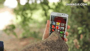 Olifant GIF. Dieren Olifant Gifs Vast Tandpasta 