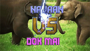 Olifant GIF. Dieren Olifant Gifs Mislukken 