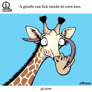 Baby GIF. Dieren Olifant Baby Gifs Effect Modder 