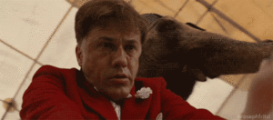 Olifant GIF. Dieren Olifant Gifs Dier 