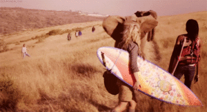 Baby GIF. Dieren Olifant Baby Gifs Offsides 