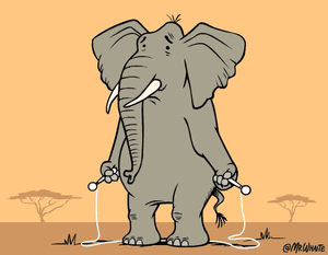 Olifant GIF. Dieren Olifant Gifs Dier 
