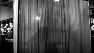 Olifant GIF. Dieren Olifant Gifs Animalsbeingjerks Ruk 