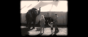 Baby GIF. Bad Dieren Olifant Baby Gifs 