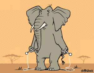 Olifant GIF. Dieren Olifant Gifs 