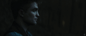Olifant GIF. Dieren Olifant Gifs 