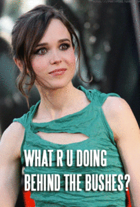 Ellen Page GIF. Gifs Filmsterren Ellen page Staren Joseph gordonlevitt 