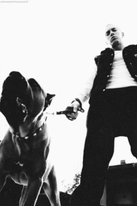 Eminem GIF. Artiesten Eminem Gifs Slim shady Marshall Bkonijn King mathers 