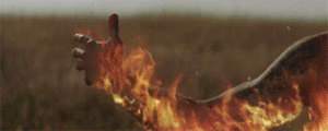 Eminem GIF. Artiesten Eminem Gifs Gevraagd Justinboyfriend 