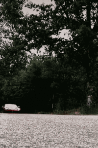 Ferrari GIF. Voertuigen Ferrari Gifs F1 Fernando alonso Karting 